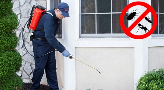 Kandıra Kene İlaçlama böcek ilaçlama ve haşere kontrolü — ilaclama-tr.com